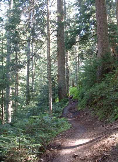Helitrope Ridge Trail photo of Helitrope Ridge Trail