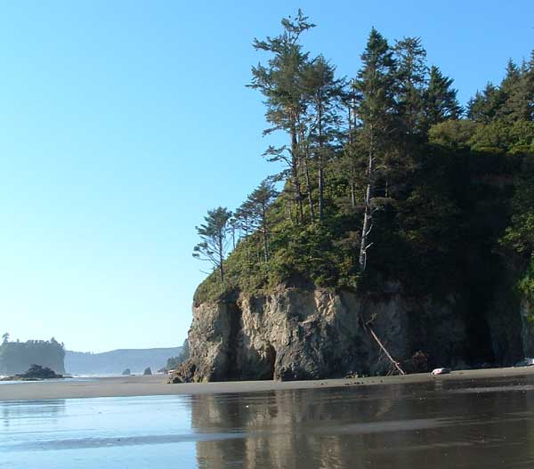 Ruby Beach, Olympic National Park photo of beach and trees, Ruby Beach, Olympic National Park