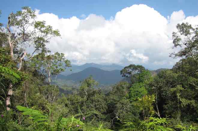 photo of vista at Frasers Hill, Malaysia