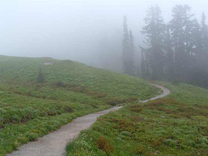 Mount Rainier national park