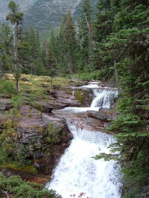 waterfall in the forest