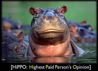 image of a hippo with the text HiPPO: Highest Paid Person's Opinion